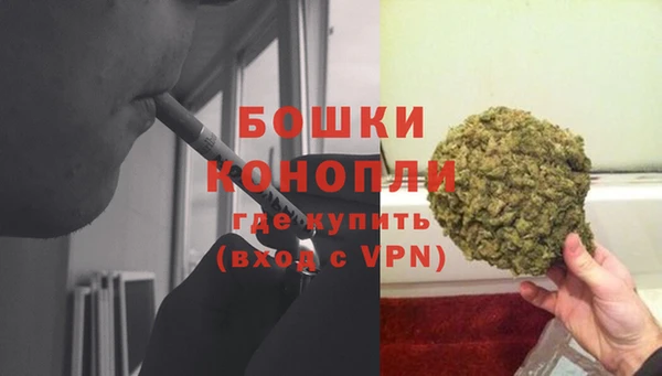 прущие крисы Корсаков