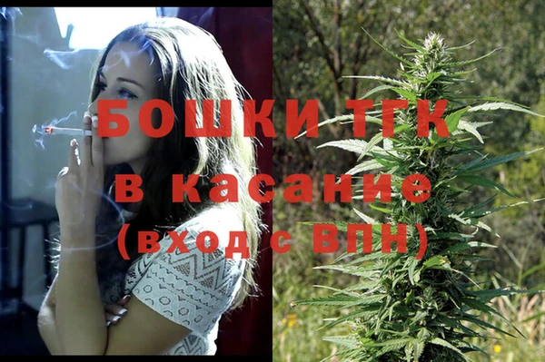 прущие крисы Корсаков