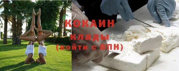 прущие крисы Корсаков