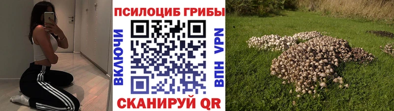 Псилоцибиновые грибы мицелий  Муравленко 