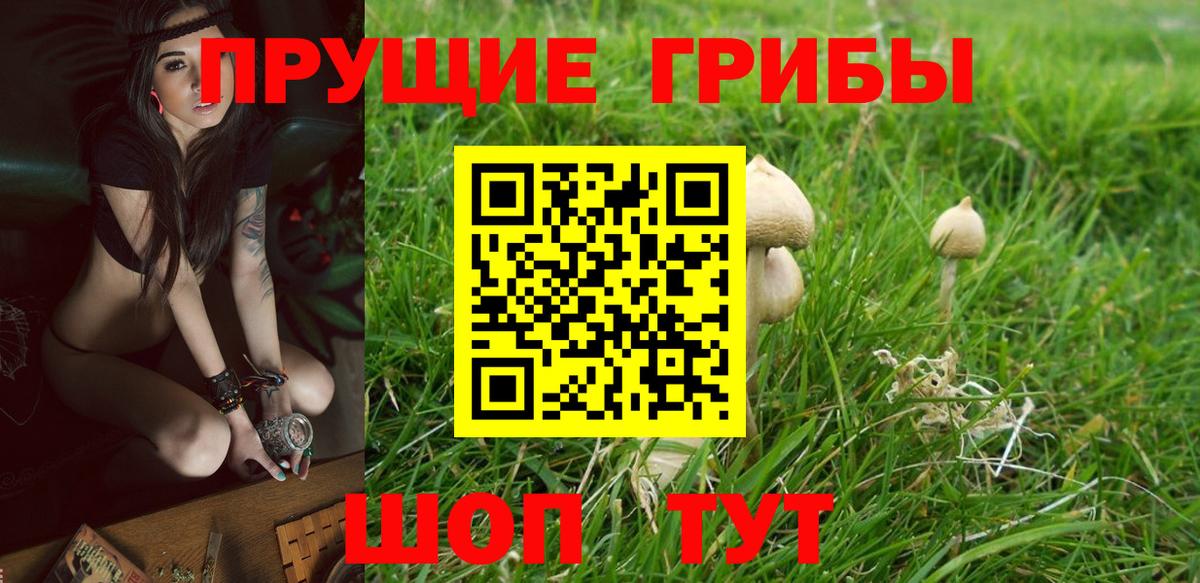 Псилоцибиновые грибы MAGIC MUSHROOMS Муравленко