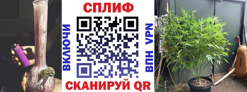 Бошки Шишки конопля  как найти закладки  мега ТОР  Муравленко 
